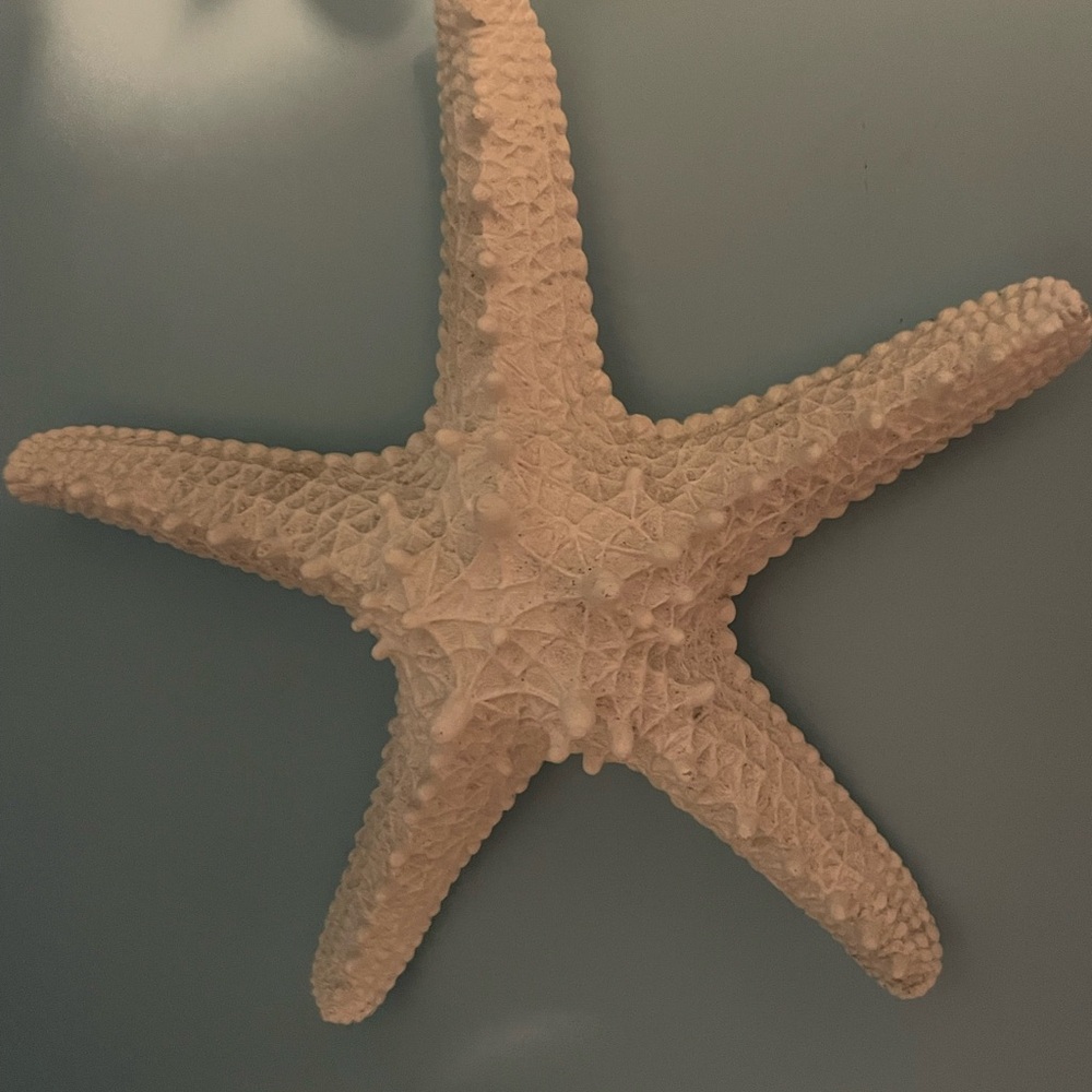 Cream Starfish Wall Art